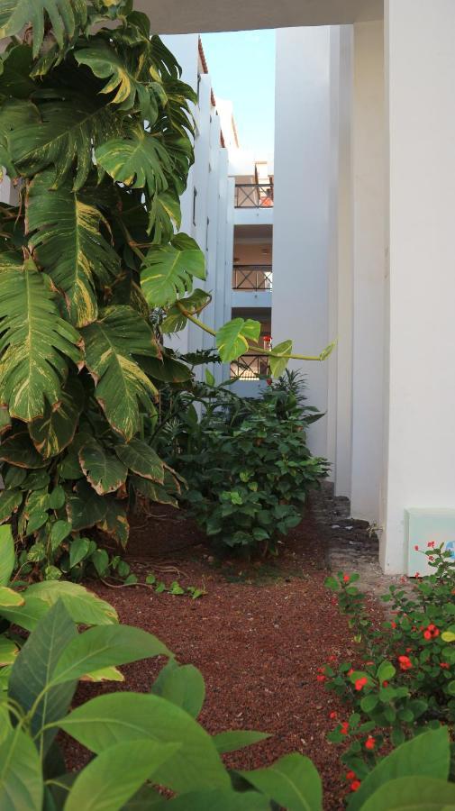 Apartamento En Tenerife Sur, Parque Santiago 2 Arona  Exteriér fotografie