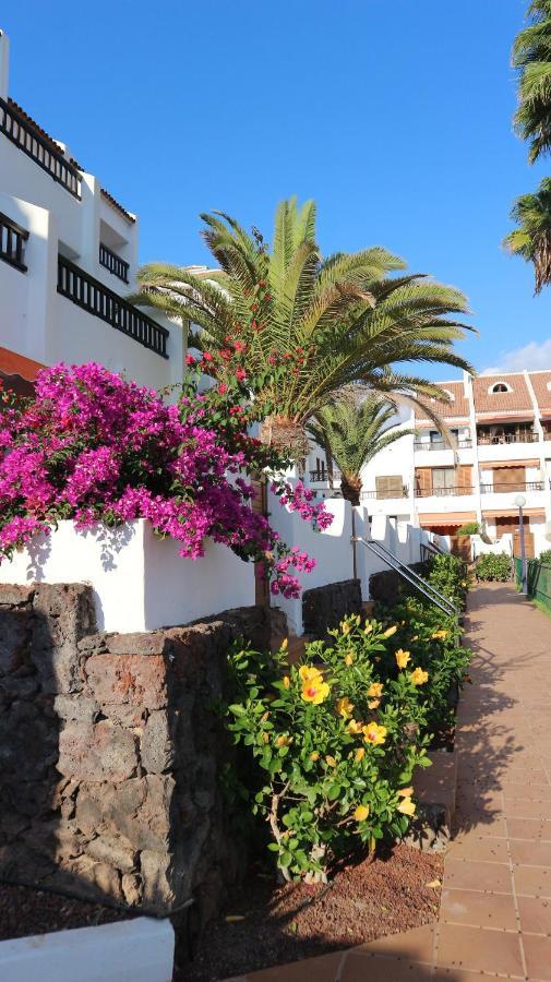 Apartamento En Tenerife Sur, Parque Santiago 2 Arona  Exteriér fotografie