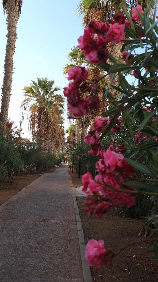 Apartamento En Tenerife Sur, Parque Santiago 2 Arona  Exteriér fotografie